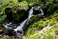 Morvan, gorge de la Canche